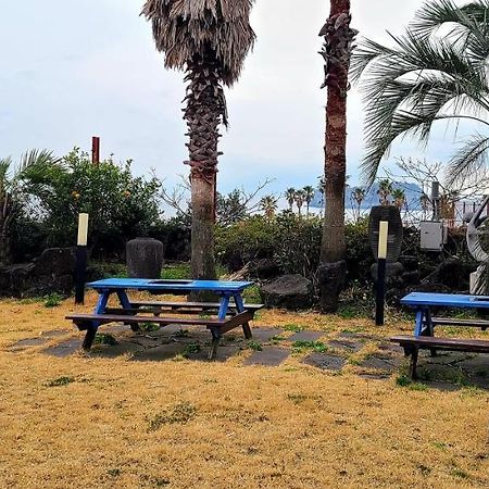济州岛城堡裴森酒店 济州市 外观 照片